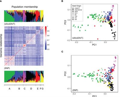 Multi-stage resistance to Zymoseptoria tritici revealed by GWAS in an Australian bread wheat diversity panel